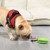 Dog Interactive Chew Toy Natural Rubber Ball Puppy