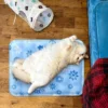 Dog Cooling Mat Summer Pet Self Cooling Pad Cat Bed Mat