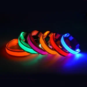 Pet Night Safety Cord Flashing Glow Colorful Anti-Lost LED Dog Collar