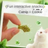 cat mint biscuit cat eating snack pet molar