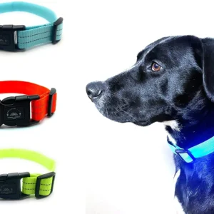 LED-Glowing-Dog-Collar-Adjustable-Flashing-Rechargea-Luminous-Collar-Night