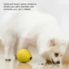 Dog Food Dispensing Puzzle Ball