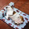 Dog Mat Cooling Summer Pad Mat for Dogs Cat Blanket Sofa Breathable