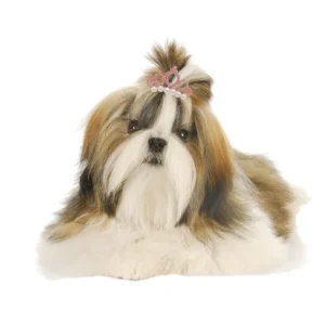 Small-Dogs-Faux-Pearl-Crown-Shape-Bows-Hair-Clips-Bow-Cute-Head-Decoration