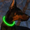 LED Pet Luminous Collar USB Charging Collar Teddy Charge Collar Led Night Safety Flashing Glow Dog Loss Prevention Collar Pet