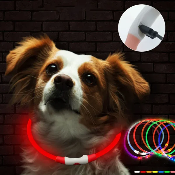 Led Dog Collar Luminous Usb Cat Dog Collar 3 Modes Led Light Glowing Loss Prevention LED Collar For Dogs Pet Dog Accessories