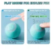 USB Charging Electric Spin Ball Toy for Cats and Dogs - Image 4