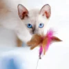 Cat Toy Interactive Teaser Stick with Bells for Dogs and Cats - Image 5