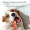 Chicken Breast Dog Snacks Bite-resistant Molar Sticks - Image 4