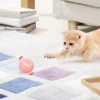 Smart interactive rolling cat toy ball for indoor play - Image 4