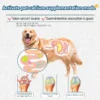Delicious Freeze-Dried Cheese Pet Cat Snacks Calcium Milk Tablets Probiotics - Image 5